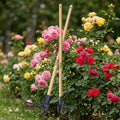 four-claw cast iron stand-up weeder
